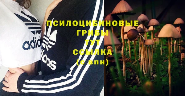 spice Алексин