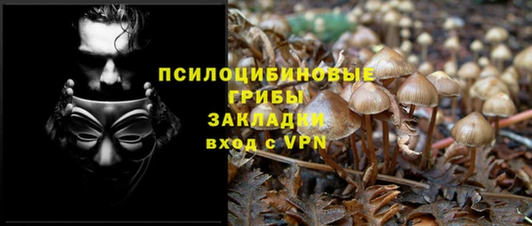 гидропоника Алзамай