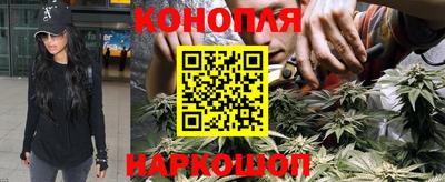 гидропоника Абакан