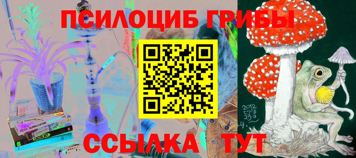 Галлюциногенные грибы Psilocybe  Вход с VPN  Амурск 