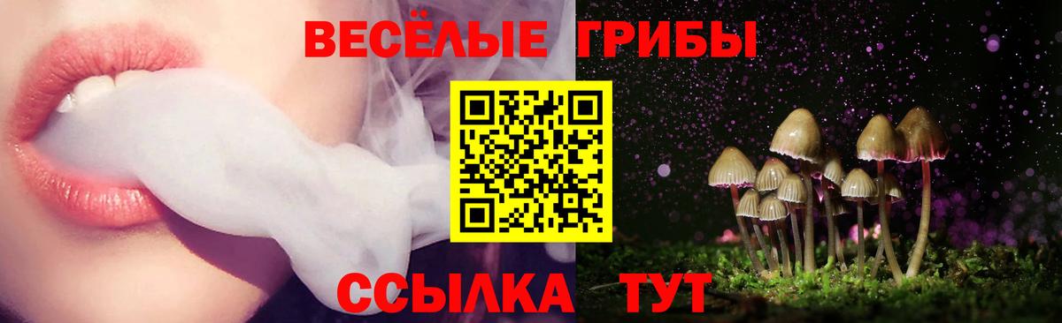 Псилоцибиновые грибы мухоморы Амурск